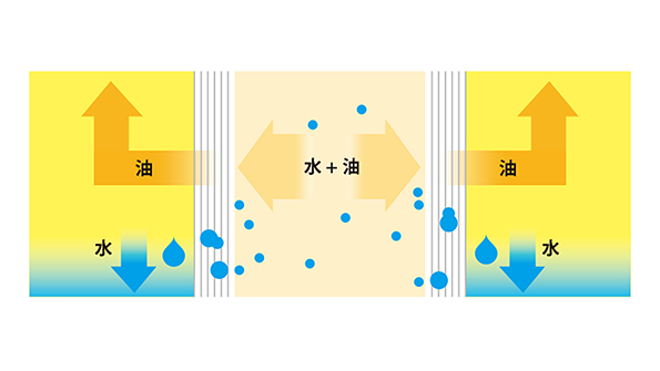 コアレッサ